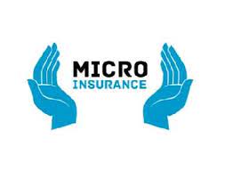 Microinsurance-4302c68a