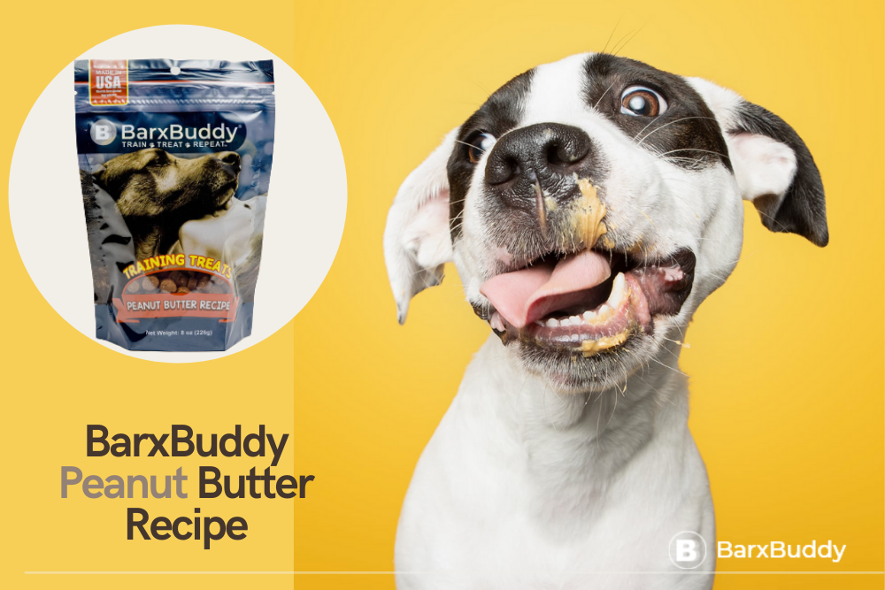 BarxBuddy Peanut Butter Recipe Review