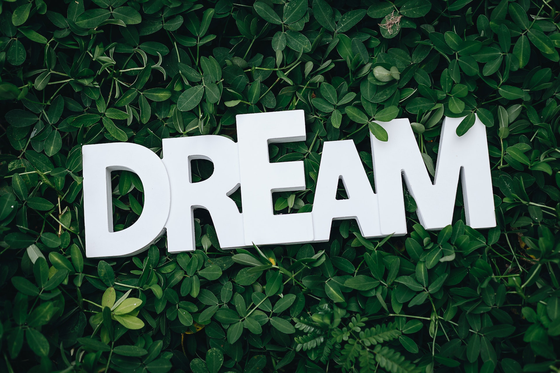 5 ways to stay motivated pursuing your dreams in 2023