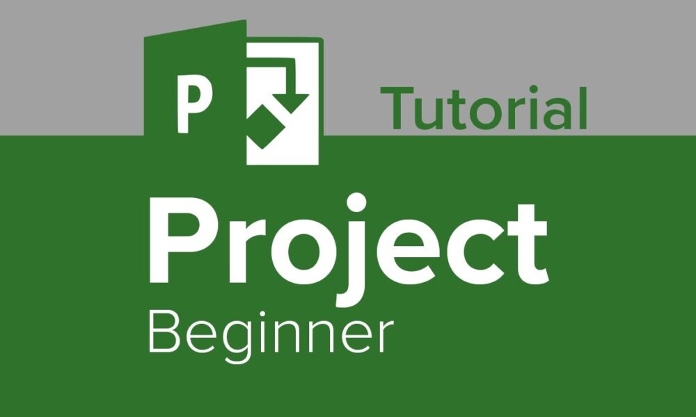 Strategies for Mastering the Basics of MS Project for Beginners ...