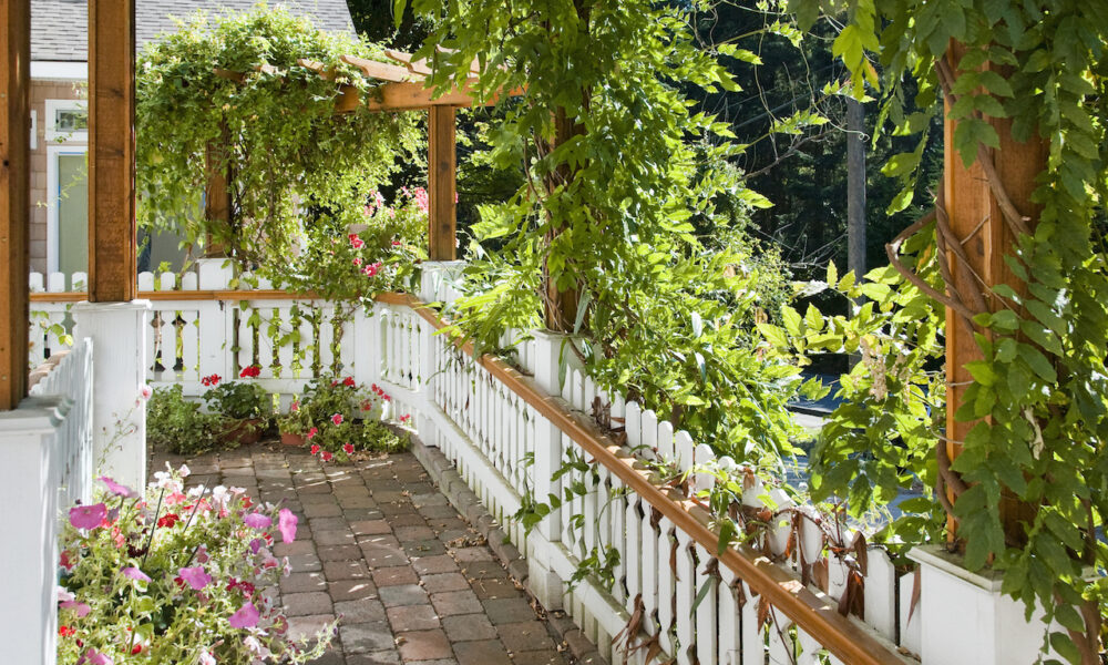 Your Guide to a Thriving Porch Garden TechAnnouncer