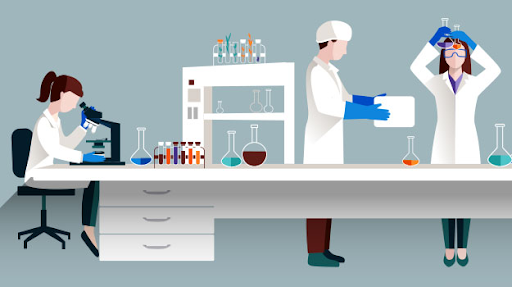 Research Assistance: Empowering Scholars and Professionals with Expert Guidance
