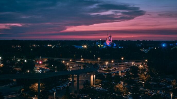 city skyline during night time