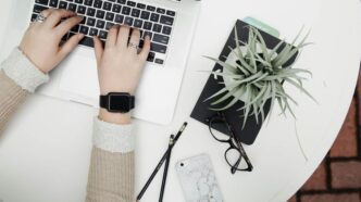 person using laptop computer beside aloe vera