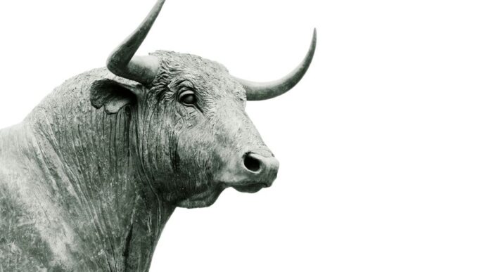 bull grayscale photo