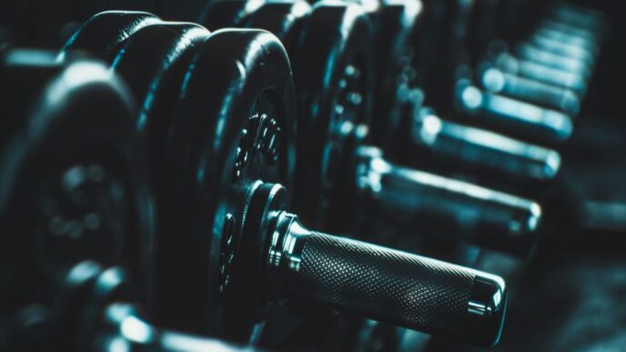 A row of dumbs in a gym