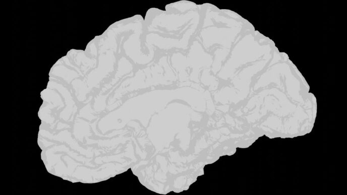 a white brain on a black background