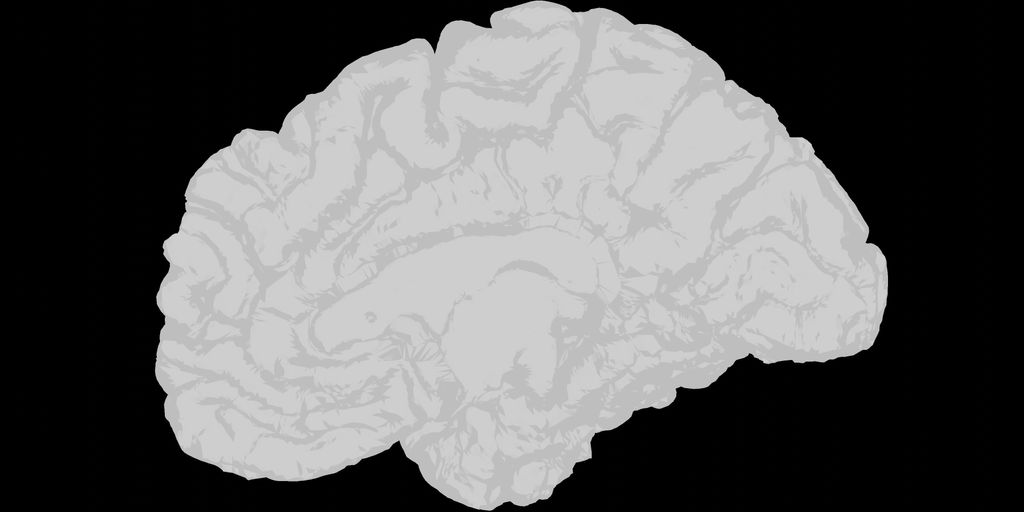 a white brain on a black background