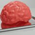 A red brain sitting on top of a metal tray