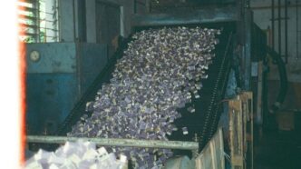 a conveyor belt filled with lots of money