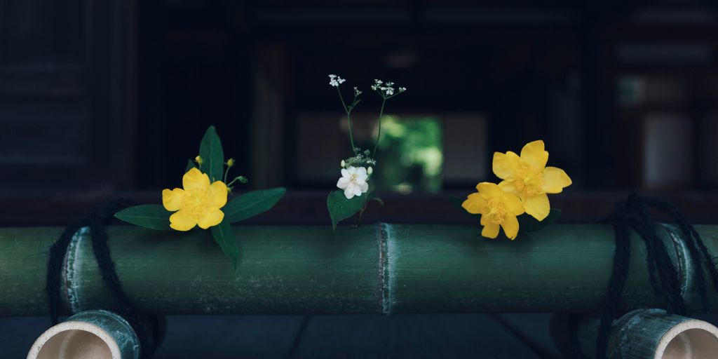yellow flower on green bamboo