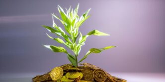 green-leafed plant