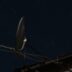 A satellite dish sitting on top of a roof