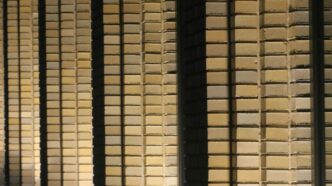 white and black window blinds