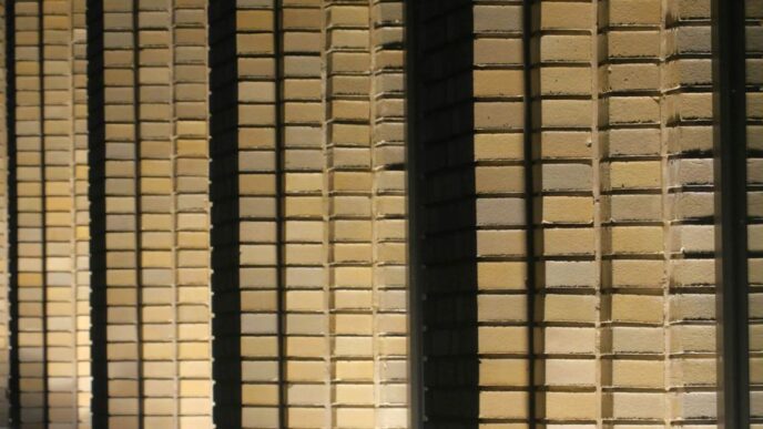 white and black window blinds