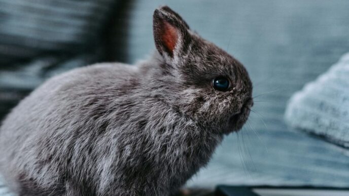 a rabbit sitting on a couch next to a tablet