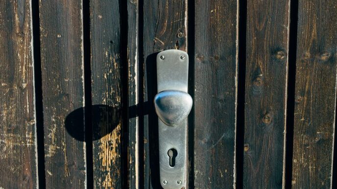 a metal door handle on a wooden door