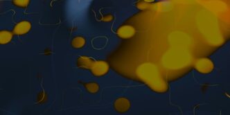 A blurry image of a fish in the water