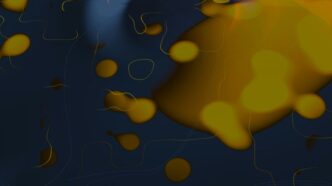 A blurry image of a fish in the water