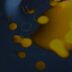 A blurry image of a fish in the water