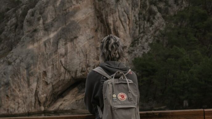 A person with a backpack standing on a bridge