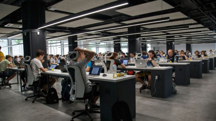 people doing office works