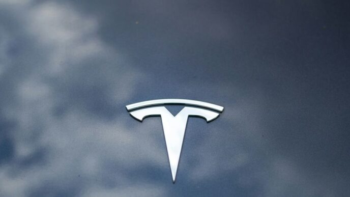 A picture of a tesla logo on a car window