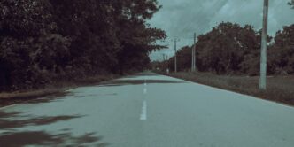an empty road with trees on both sides