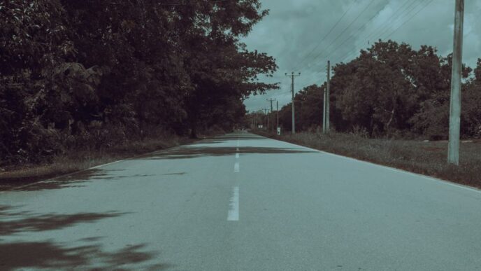 an empty road with trees on both sides