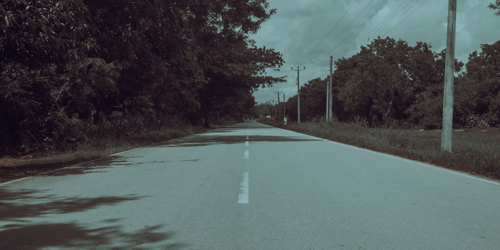 an empty road with trees on both sides