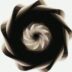 A spiraling dark form against a white background.