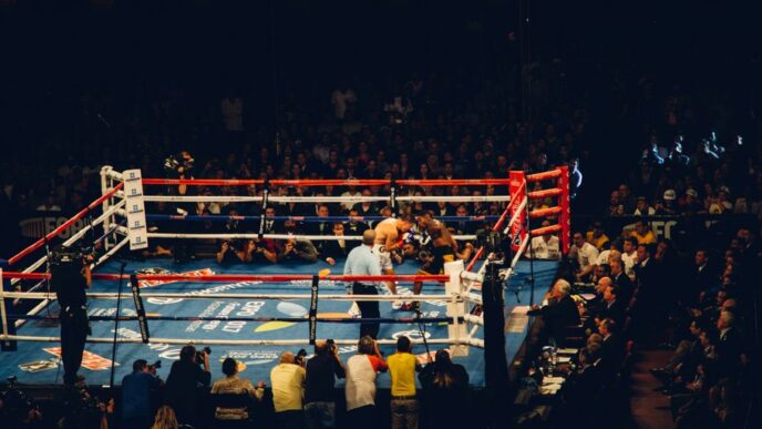 people watching boxing