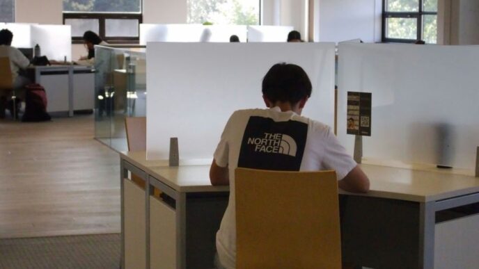A person sitting at a desk with a laptop