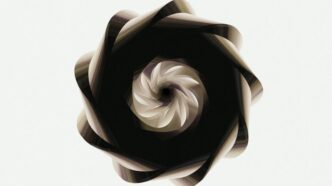 A spiraling dark form against a white background.