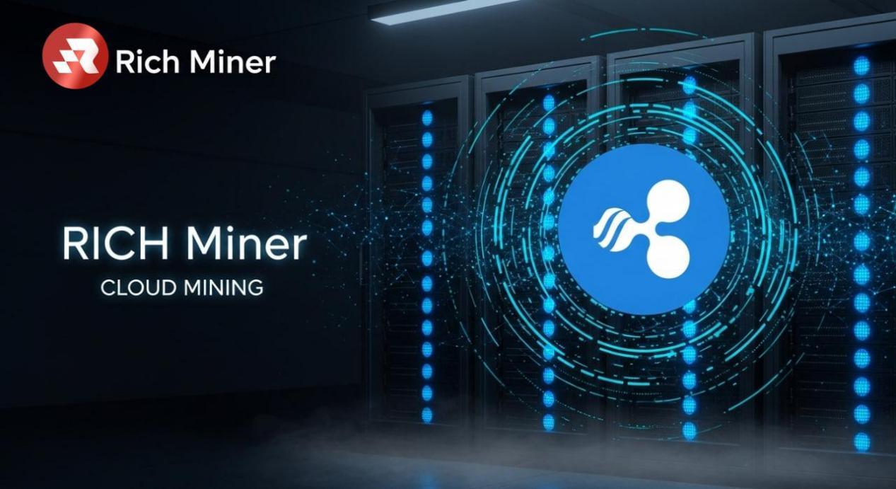 XRP Investors