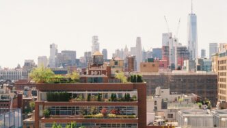 A new york city skyline view on a sunny day.