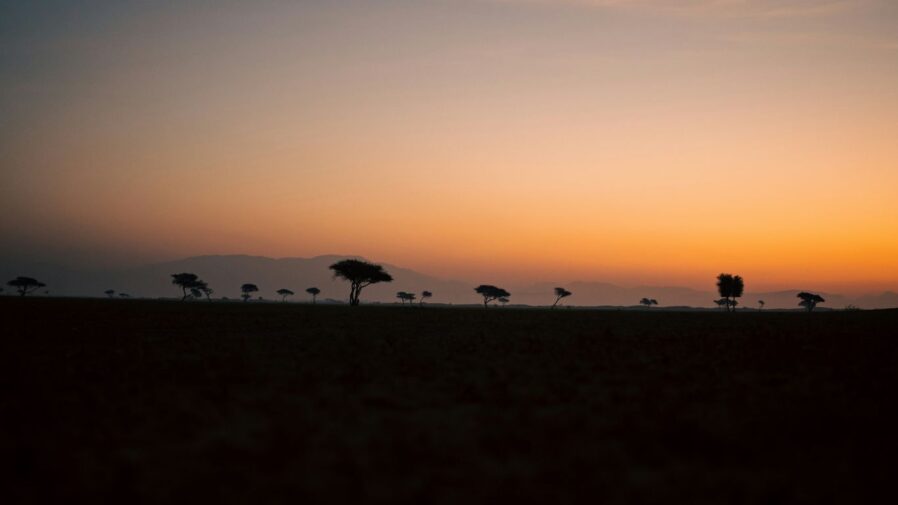 the sun is setting over a field of trees