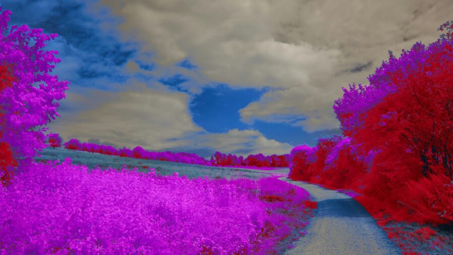 A digital painting of a road surrounded by purple flowers