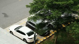 two cars parked in a parking lot next to a tree