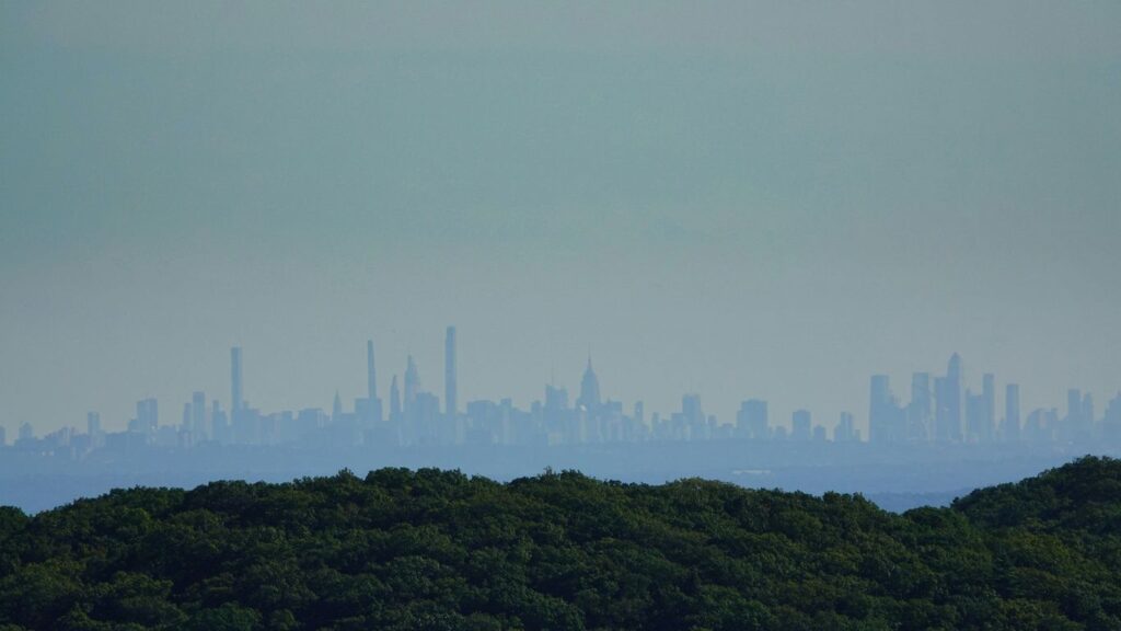 a view of a city from the top of a hill