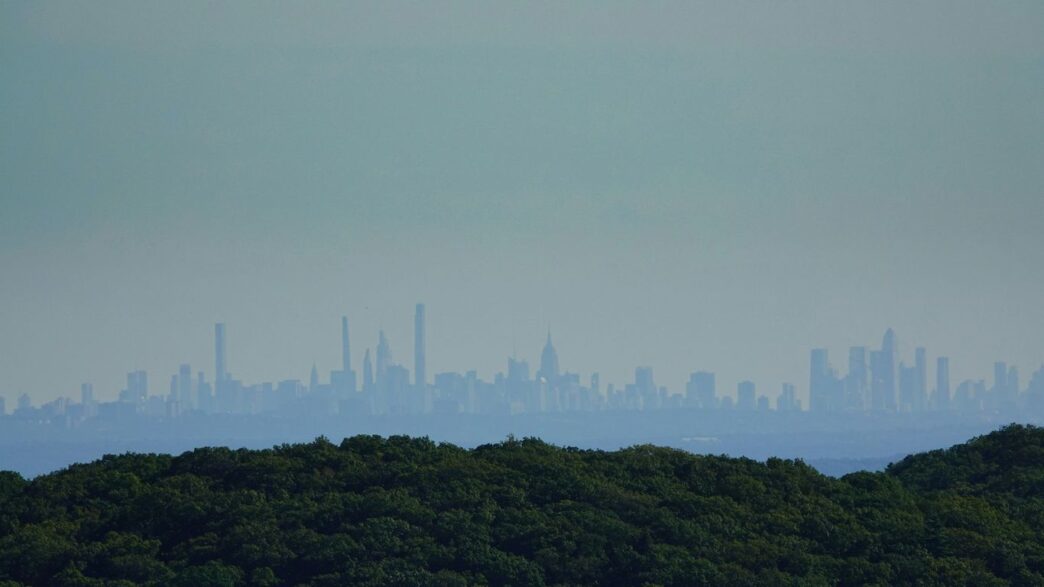 a view of a city from the top of a hill