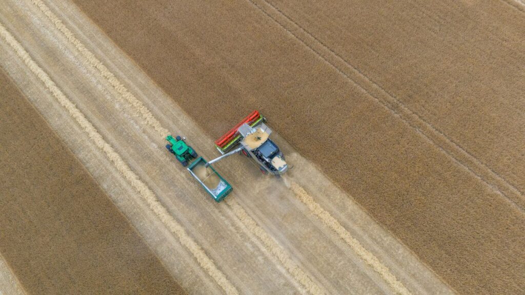 Tractor and seeder working in a harvested wheat field.