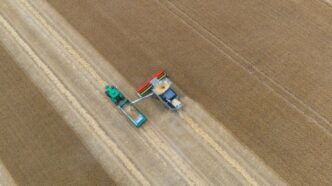 Tractor and seeder working in a harvested wheat field.