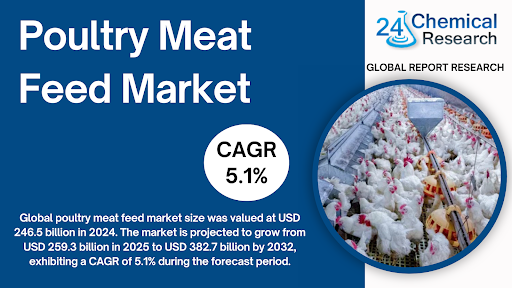 Poultry Meat Feed