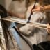 a man cutting a woman's hair with a pair of scissors