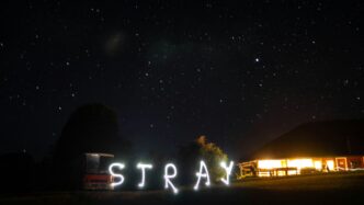 the word stray is lit up in the night sky