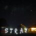 the word stray is lit up in the night sky