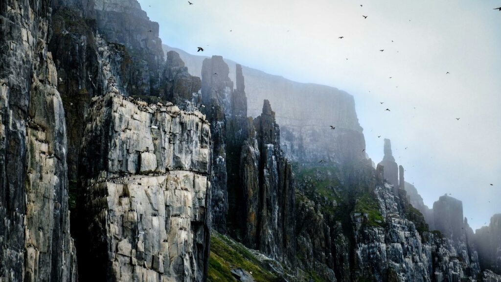 a group of birds flying over a rocky cliff