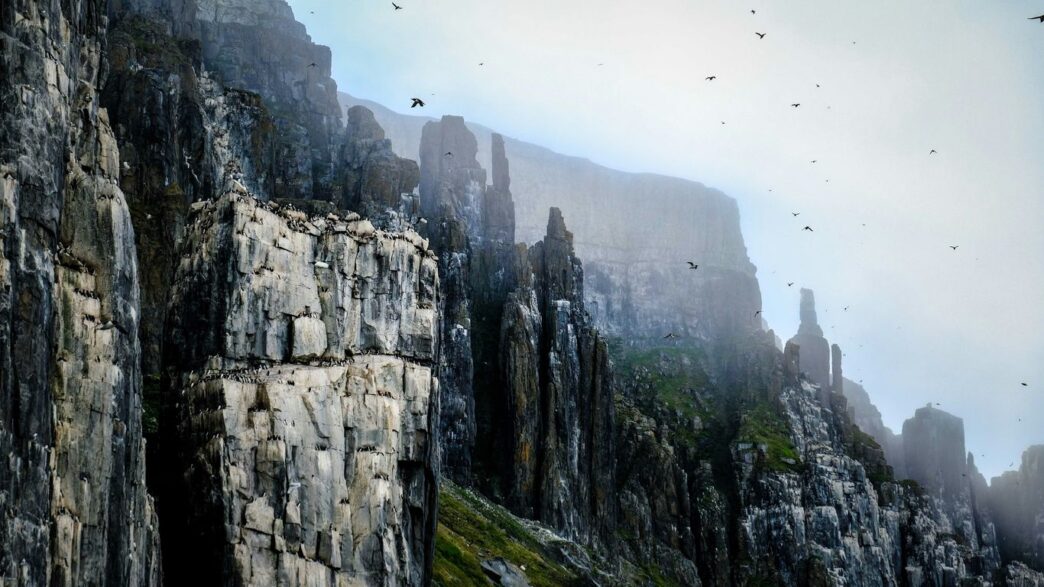 a group of birds flying over a rocky cliff