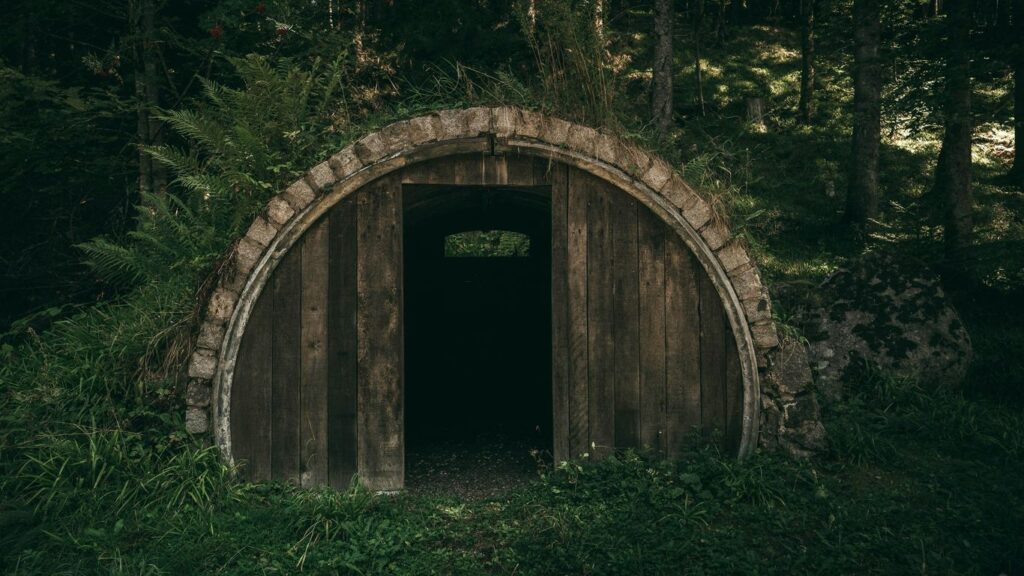 brown wooden tunnel in forest